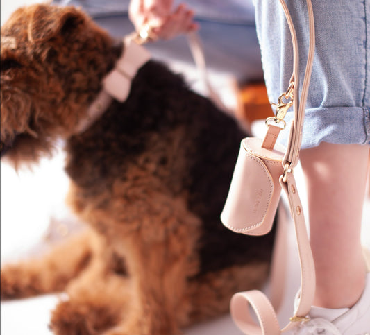 Designer Collar-Leash Set-Pastel Pink