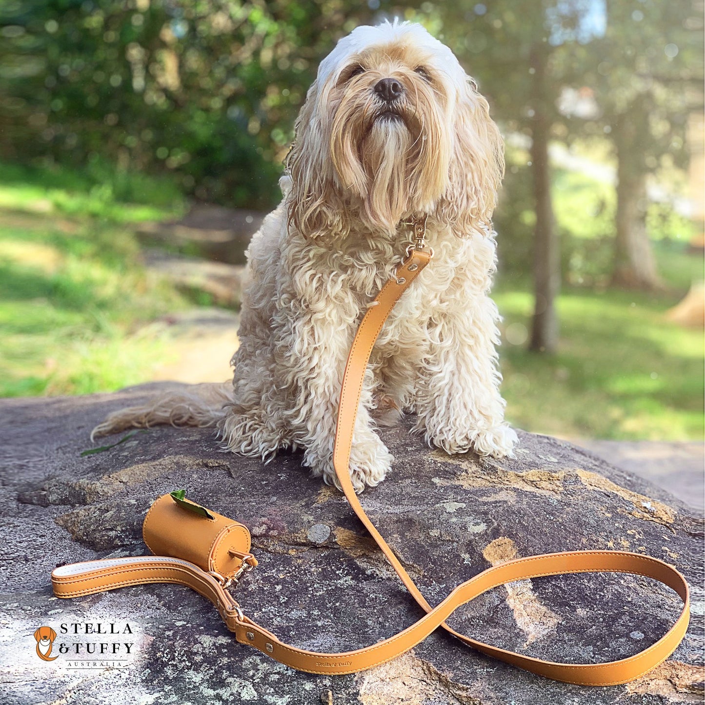 Burnt Orange Designer Leash