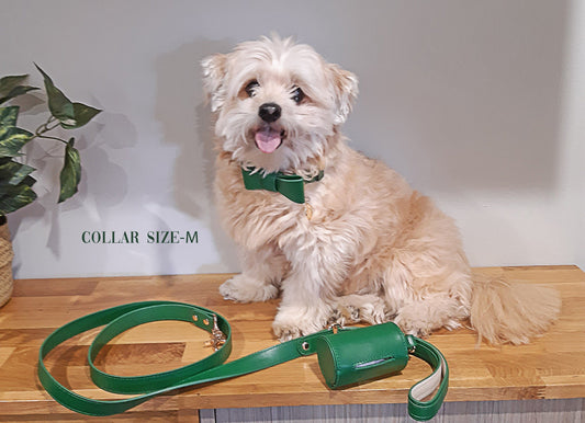 Designer Collar, Poop bag and Leash Set-Forest Green