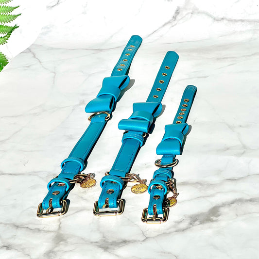 Costal Blue collar with Bow tie
