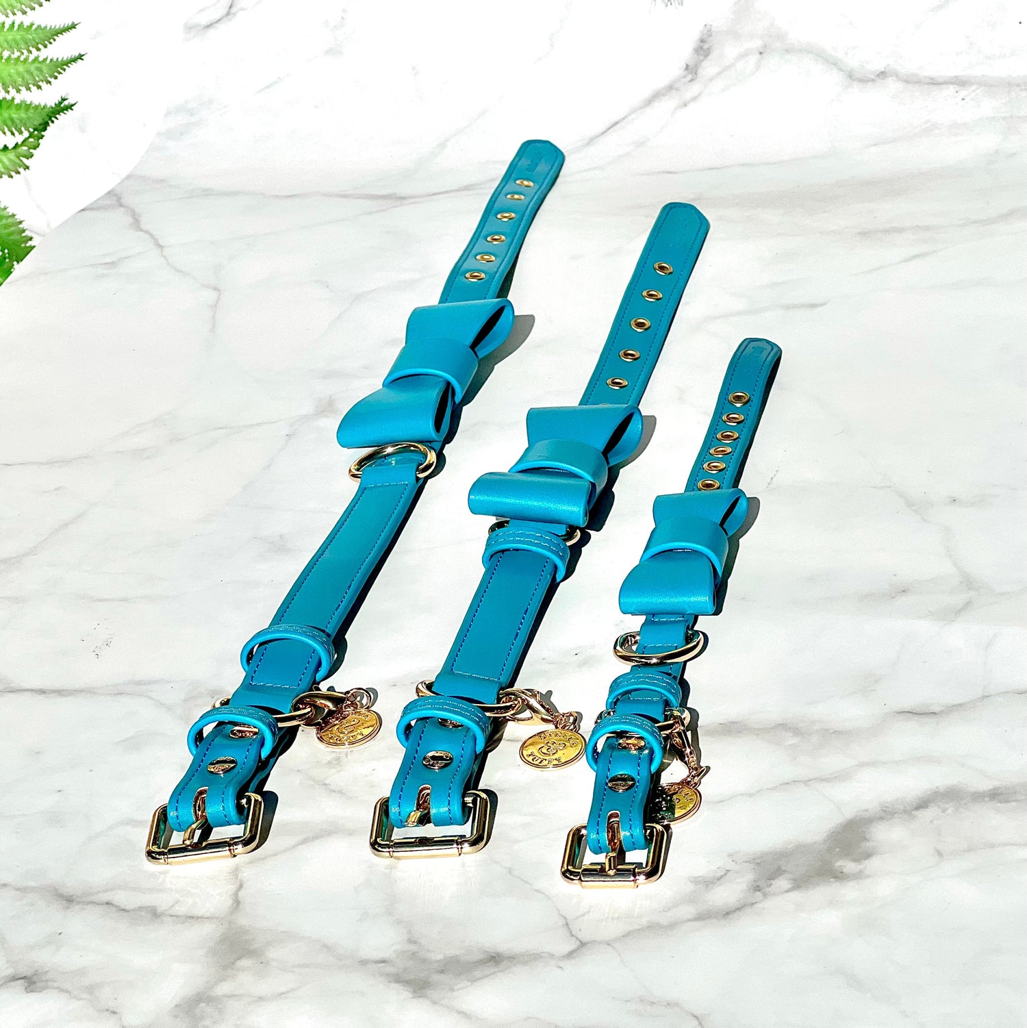 Coastal blue dog collar shown in three sizes, small medium and large