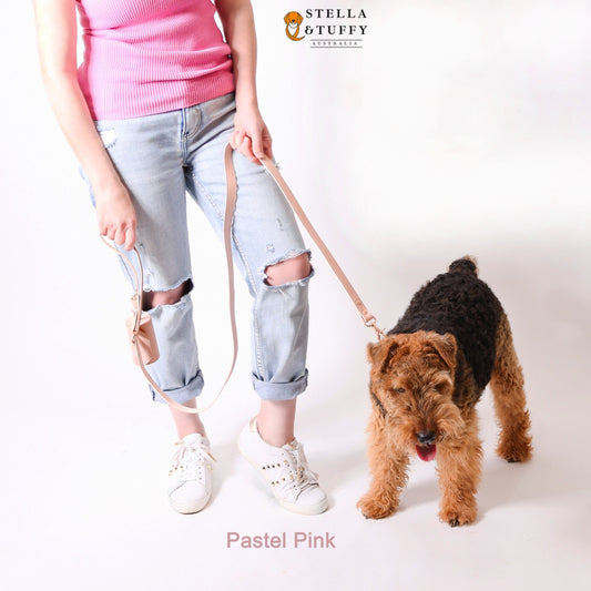 Pastel Pink Designer Leash