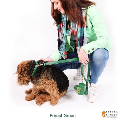 Designer Poop Bag Holder -Forest Green
